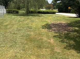 Ramani I.'s Cleanups service result