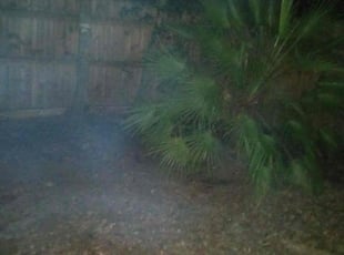 Leaf Removal by Travis Frederickson for Margaret C. in Pensacola, FL