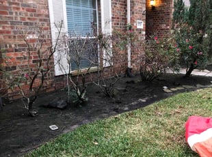 Weeding by Hugo Ayala for "Shannon T. in Tomball, TX
