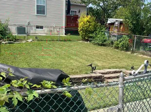 Dahmane G.'s Lawn Mowing service result