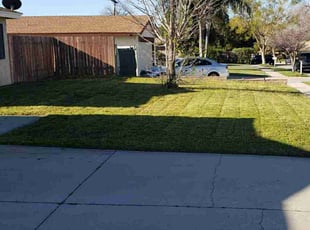Cindy B.'s Grass Cutting service result