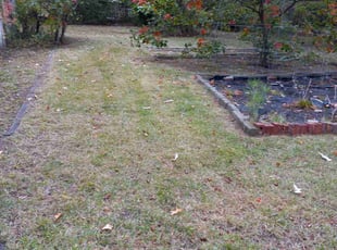 Rhonda T.'s Cleanups service result