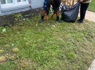 Bush Trimming by Kenneth Jackson Jr for Rejoyce B. in Baltimore, MD