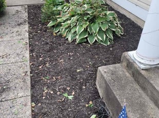 Weeding by Brian Bell for Melvin H. in Frederick, MD