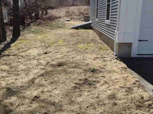 Leaf Removal by Efstathios Tsafaridis for Kelvin D. in Needham, MA