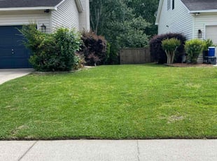 Chris B.'s Lawn Service service result