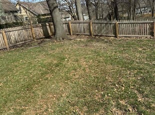 Leaf Removal by Darron Cotton for Richard R. in Lenexa, KS