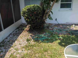 Bush Trimming by Michael Banmah for TEO R. in Port St. Lucie, FL