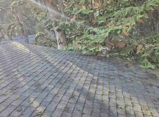 Leaf Removal by Ricardo Santiesteban for Ramiro H. in Portland, OR