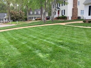 Jean S.'s Lawn Service service result