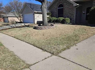 Leaf Removal by Gary Joy for Janeth R. in Watauga, TX