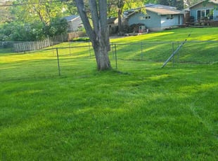 Cleanups by Natatia Frame for Kedrin L. in Bloomington, MN