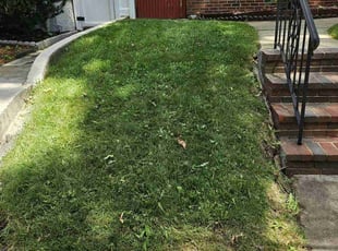 Crystal H.'s Lawn Service service result