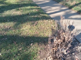 Cleanups by Stephen Propst for Sophia N. in Tulsa, OK