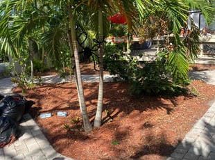 Leaf Removal by Dominque Wortham for Irene S. in Sarasota, FL