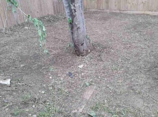 Cleanups by Demiteria Mattox for Maliq C. in Houston, TX