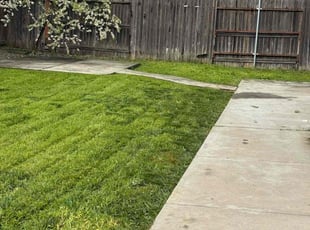 Weeding by Gabriel Aldrete Contreras for Karla S. in Sacramento, CA