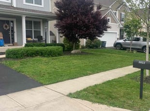 Bush Trimming by B.J. Schuetz for Brittany L. in Columbus, OH
