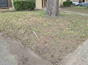 Cleanups by Hugo Melgar for Ganwei L. in Houston, TX