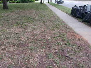Cleanups by Jeremy Jenkins for Craig C. in Arlington, TX