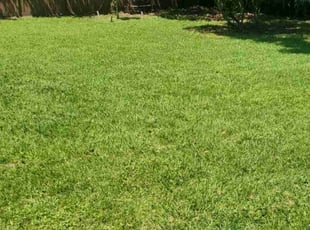 Melissa K.'s Lawn Mowing service result