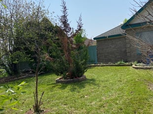 Cleanups by Fred Rodriguez for Marci P. in Austin, TX