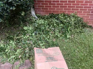 Ken C.'s Bush Trimming service result