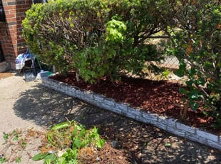 Mulching by Nicholas Testerman for Ashley B. in The Bronx, NY