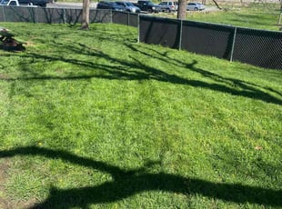 Kathy B.'s Grass Cutting service result