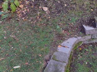 Leaf Removal by Kristofel Simbajon for Valentina A. in Seattle, WA