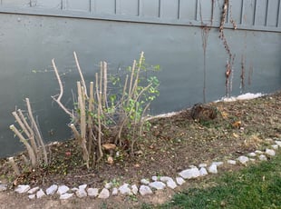 Landscaping by Tim Embrey for Michael S. in Liberty, MO