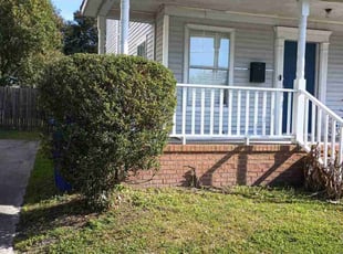 Bush Trimming by Sean Saulsby for Gabriela G. in Norfolk, VA