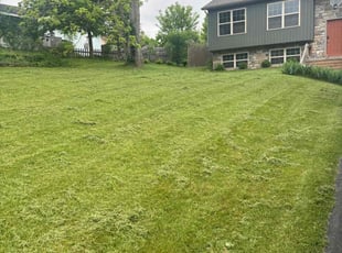 Walterina B.'s Lawn Care service result