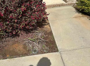 Weeding by Travis Frederickson for Justin D. in Bellview, FL