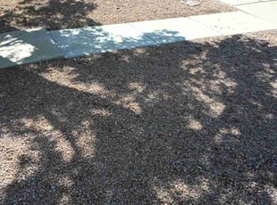 Leaf Removal by Juan Carlos Laurean Lozoya for Brian S. in Phoenix, AZ