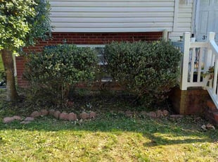 Bush Trimming by Adalberto Balderas for Jerry K. in High Point, NC