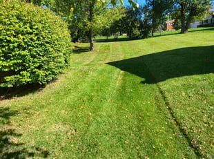 Ken D.'s Grass Cutting service result