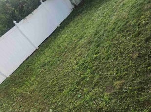 Tracy M.'s Leaf Removal service result