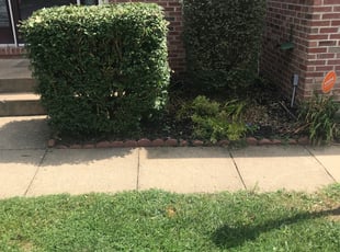 Bush Trimming by Harold Guzman for Keith H. in Woodbridge, VA