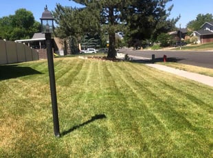Lee M.'s Lawn Mowing service result
