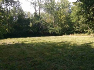 Leaf Removal by Wendy Martin for Jeff M. in Grove City, OH