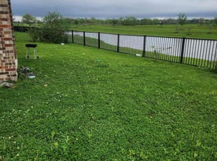 Cleanups by Javan Lopez for Louis C. in Pearland, TX