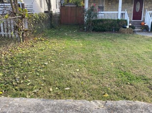 Bush Trimming by Christopher and Karen Shive for Jen N. in Nashville, TN