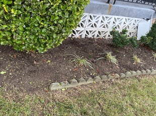 Weeding by Delvon Jones for Ron B. in Washington, DC