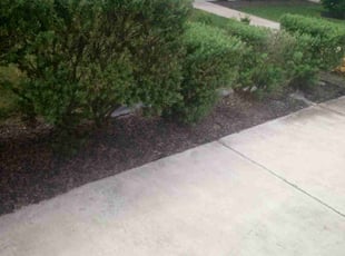 Weeding by Mark DeLeon for Cody R. in Austin, TX