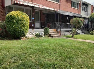 Moses M.'s Bush Trimming service result