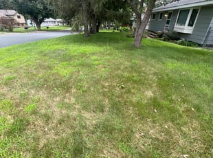 Gwen C.'s Lawn Mowing Service service result