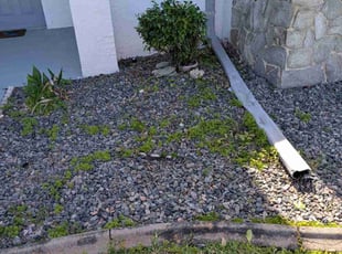 Bush Trimming by Jr Valle for Paul K. in Palm Coast, FL