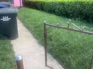 Bush Trimming by Ra'keem Jackson for Erica G. in Washington, DC