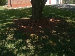 Cleanups by Lionel Lee for Anthonette H. in Stone Mountain, GA